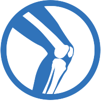 tibiofemoral joint